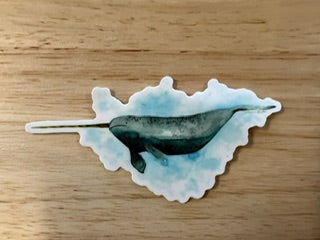 Narwhal